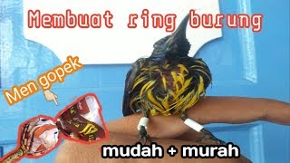 Download lagu Membuat ring burung//modal 500perak 5menit beres mp3 Download lagu Membuat ring burung//modal 500perak 5menit beres mp3