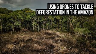 Using drones to tackle deforestation | WWF