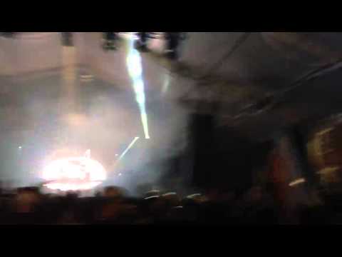 Bird is the Word - Norin and Rad