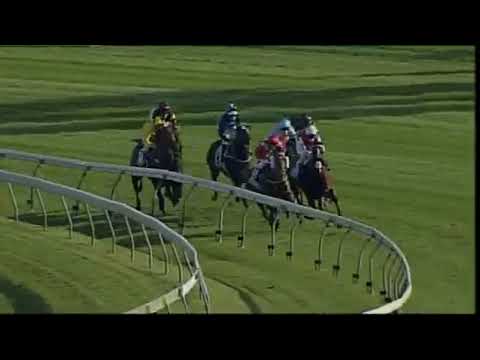 Apache Cat wins the Sydney City Lexus T J  Smith Stakes at Randwick  Ridden by Corey Brown and train
