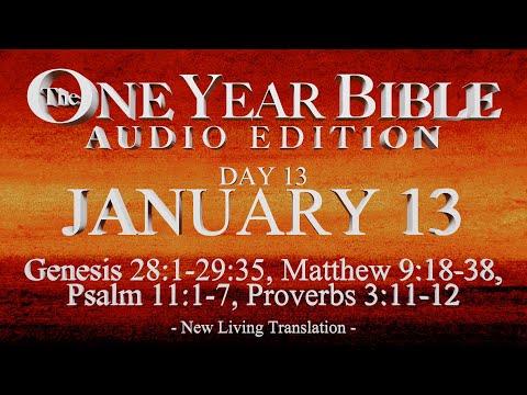 Day 13 | January 13 | One Year Bible Audio | Gen 28-29, Matt 9, Ps 11, Prov 3