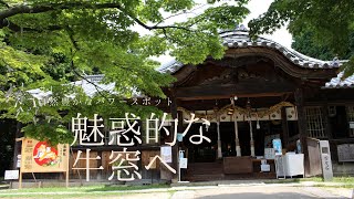 #1　自然豊かなパワースポット　魅惑的な牛窓へ