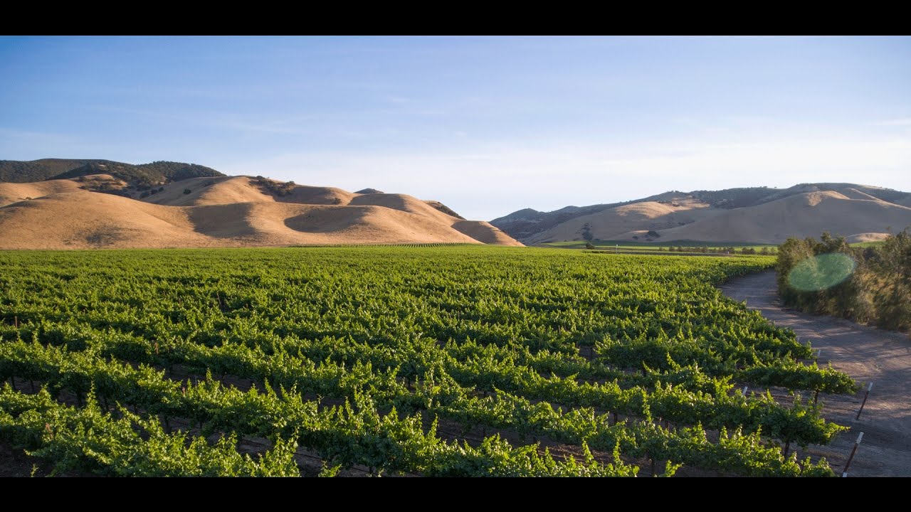 Scheid Family Wines - Our Wines