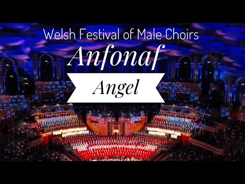 Anfonaf Angel [London Welsh Festival of Male Voice Choirs] in the Royal Albert Hall