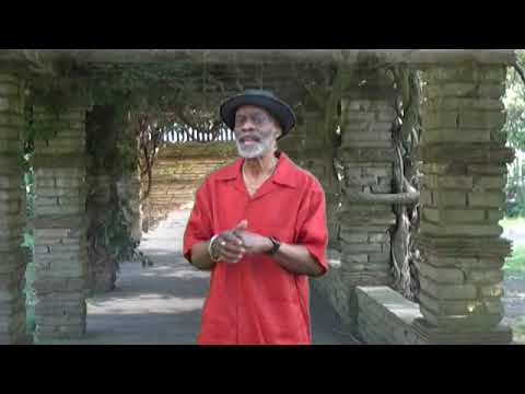 Carl St.Clair  Why (Official Music Video)