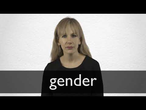 Hindi Translation Of Gender Collins English Hindi Dictionary Hindi Translation Of Gender Collins English Hindi Dictionary