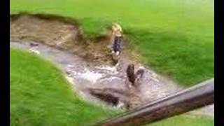 Lacey Brown Falling !