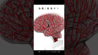 生きているだけで大損だ #重音テト