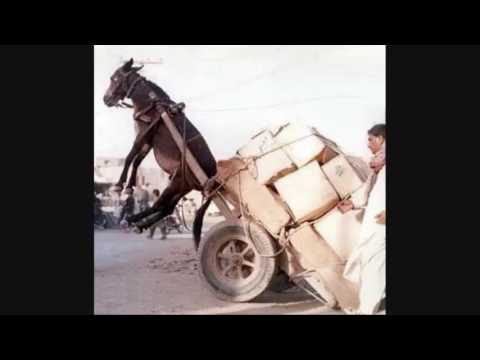 7 Toun feat mc Dalim  9inàbe el hindi  walde lisasfa siiik hassn    YouTube