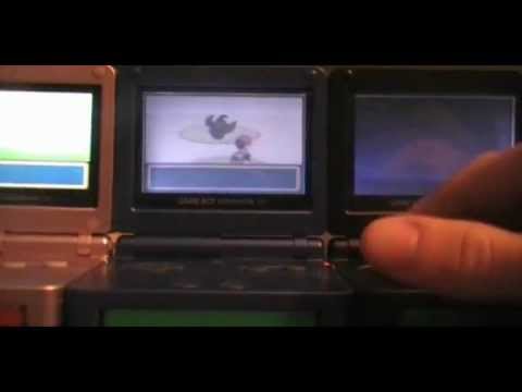 LIVE! MY LONGEST HUNT EVER!! SHINY IN CAPE BRINK AFTER 46802 REs!!!!! | TheSupremeRk9s