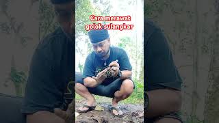 Download lagu cara merawat bilah golok sulangkar #goloksulangkar mp3 Download lagu cara merawat bilah golok sulangkar #goloksulangkar mp3