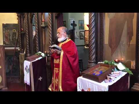 Beseda oca Radenka na TROJICE (2021. godina)