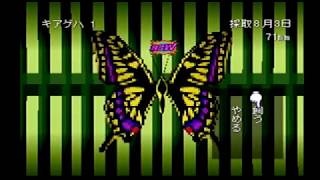 【3日目】トウモロコシ収穫に悪戦苦闘！【ぼくのなつやすみ】