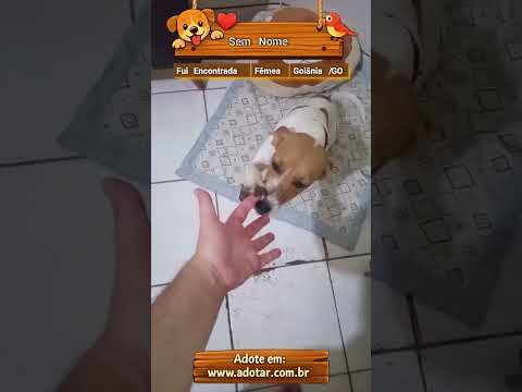 Vídeo de Sem Nome
