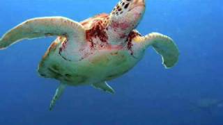 Von Anjou - Tick Tick Dance