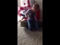 Smarty Pants Dance