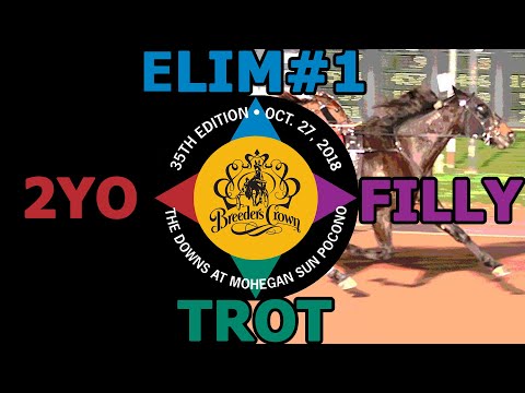 2018 Breeders Crown Elim#1 - Champagne Jane - 2YO Filly Trot