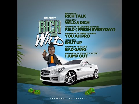 Maloneyy - Wild & Rich (Audio)