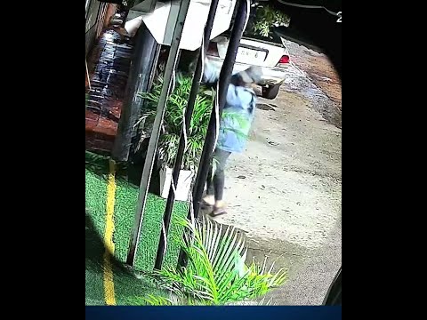 Buscan a mujer que roba plantas de negocios en Aguachica