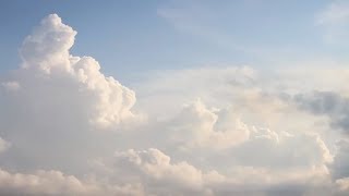 &quot;Heart&quot; - Sleeping At Last (Micro Music Video)