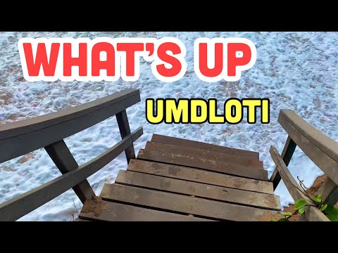 What’s Up at Umdloti Beach - Durban South Africa 11 Feb 2023