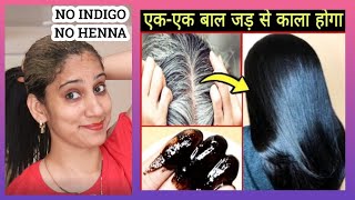 No Henna No Indigo 3 INGREDIENTS Homemade Hair Dye with 100% Natural #Safedbalokokalakarnekatarika