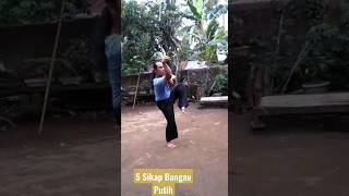 Download lagu Ilmu Silat Bangau Putih Perguruan Seruling Dewata, Lima Gerakan Sikap Bangau Putih Pencak Silat mp3