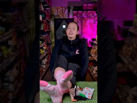 Strumpor I Love Marsvin - Storlek 33-38 - Video