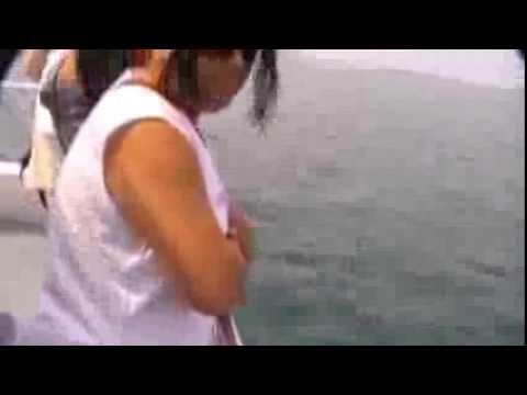 Cruising at Pattaya Beach, Thiland Video