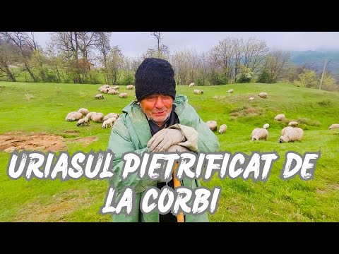 Singura casă din România cu cascadă naturală în curte! Misteriosul uriaș pietrificat de la Corbi!