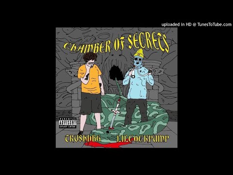 Chamber of Secrets (Feat. Trash Bandicoot)