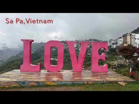 Ilayaraaja’s Kadhal Oviyam | Maate Mantramu - Veena Cover by Sujatha Rajarajan