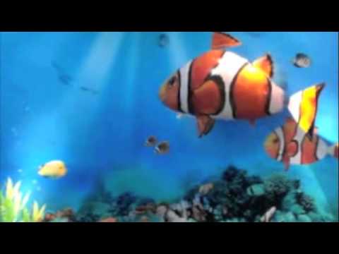 RC Flying Clownfish
