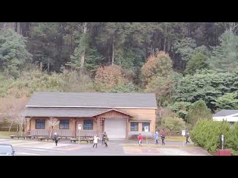 小雪山資訊站下雪美景