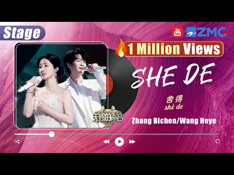 "Willing to Let Go" — Diamond Zhang & Wang Heye | Pinyin Lyrics | #舍得