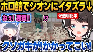 家にベリーを植えられた仕返しで、シオンに透明化ドッキリを仕掛けるスバル＋シオスバ絡みまとめ【大空スバル/紫咲シオン/角巻わため/綺々羅々ヴィヴィ/新ホロ鯖/マイクラ/ホロライブ/切り抜き】