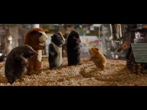 Gforce Clip PetShop High