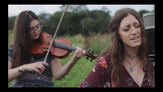 Molly Brulé - Band-Aids