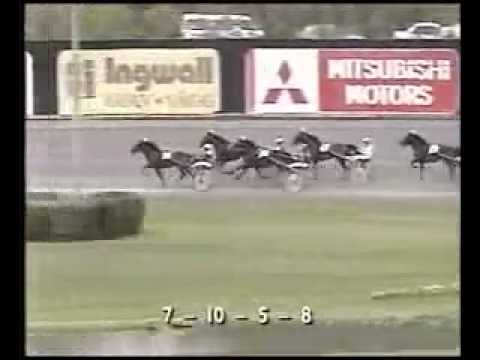 Fyraåringseliten 1994 -Zoogin