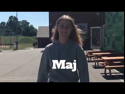 Sidste skoledag nomineringer - Birkhovedskolen