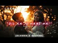DIL KA JO HAAL HAI LOFI SLOWED REVERB