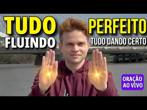 A ORAÇÃO QUE NUNCA FALHA: TUDO PERFEITO, TUDO FLUINDO, TUDO DANDO CERTO PORQUE DEUS ME AMA