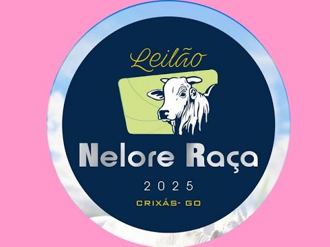 LEILÃO NELORE RAÇA CRIXAS-GO