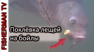 Ваши рыбки клевали да вы их поймать не дали