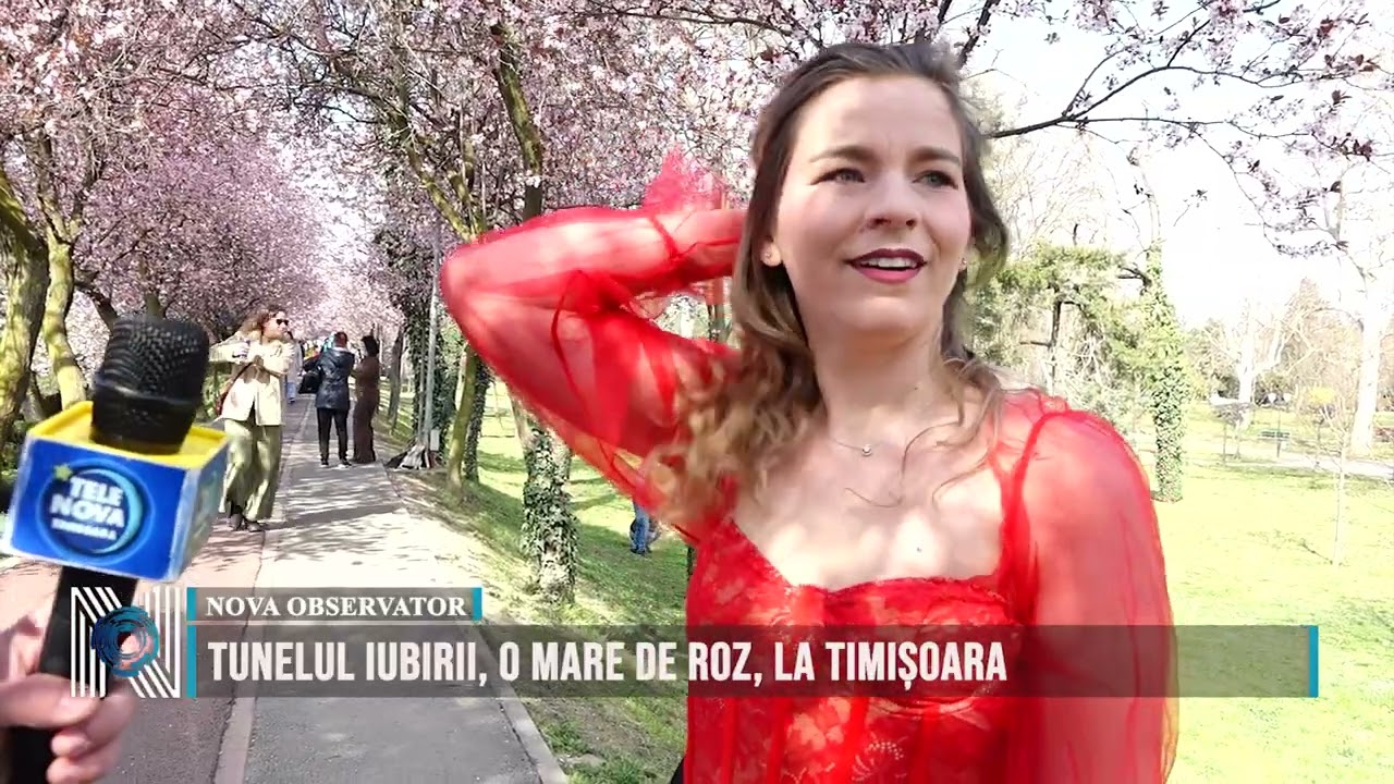TUNELUL IUBIRII, O MARE DE ROZ, LA TIMIȘOARA
