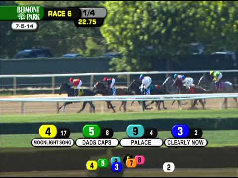 Clearly Now - 2014 Belmont Sprint Championship (G3)
