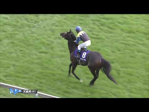 Staphanos - Group One Tenno Sho