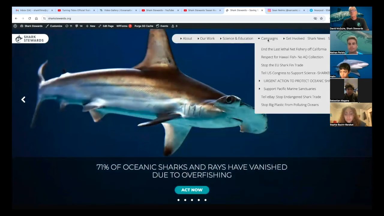 Shark Stewards End of Year Event 2023