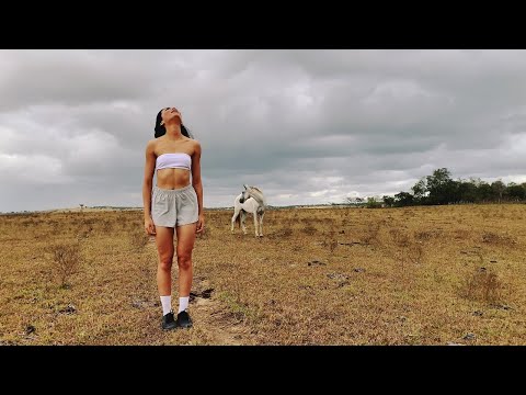 Zaya- ELA VAI (official video)
