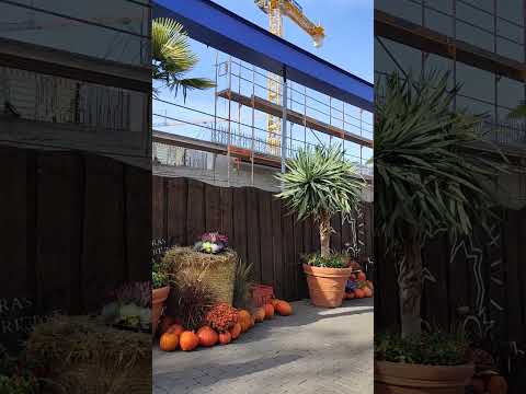 Europa-Park 2023 Kroatien Voltron Coaster #europapark #themepark #kroatien #freizeitpark #fy #fyp